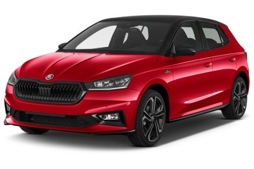 SKODA FABIA IV. AUTO GUMMIMATTEN (2021-)