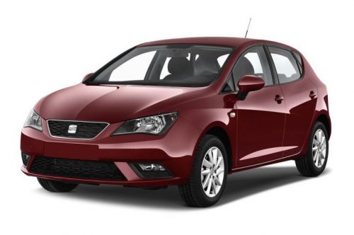 SEAT IBIZA (6J) AUTO GUMMIMATTEN (2008-2017)