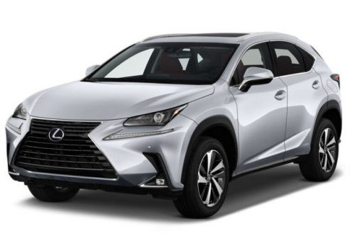 LEXUS NX REZAW-PLAST GUMMI FUẞMATTEN (2014-2021)