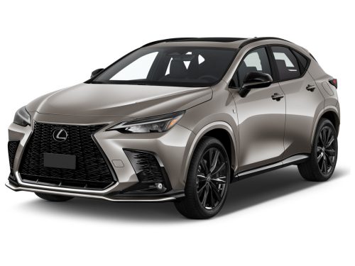 LEXUS NX AUTOTEPPICHE (2021-)